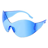 Big Ideas Oversized Sunglasses